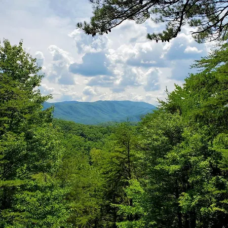 Hillbilly Hilton-Pet Friendly-Sleeps 4-Free Tickets-Mountain View Villa Pigeon Forge Exterior photo